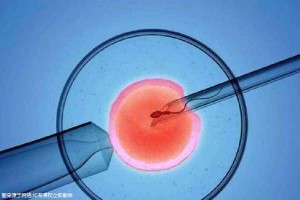 PGT胚胎实验室